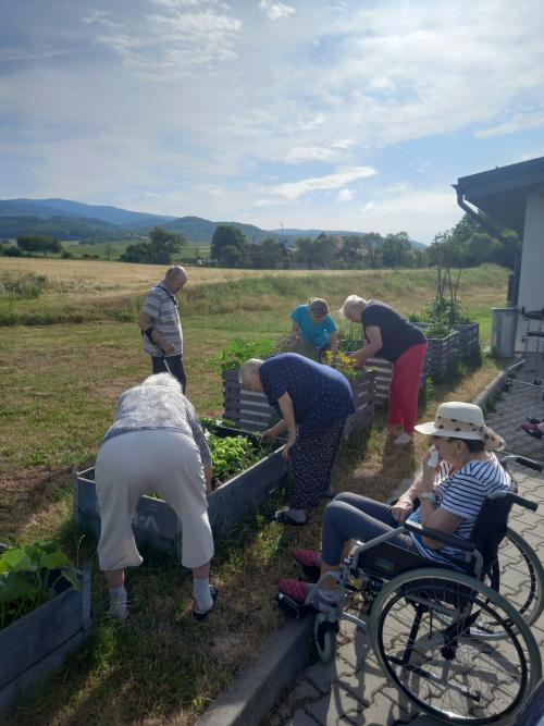 Garden terapia