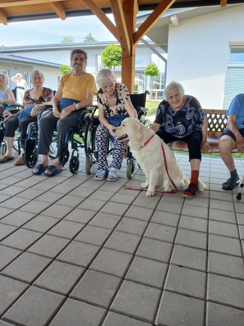 Canisterapia 2026&nbsp;3